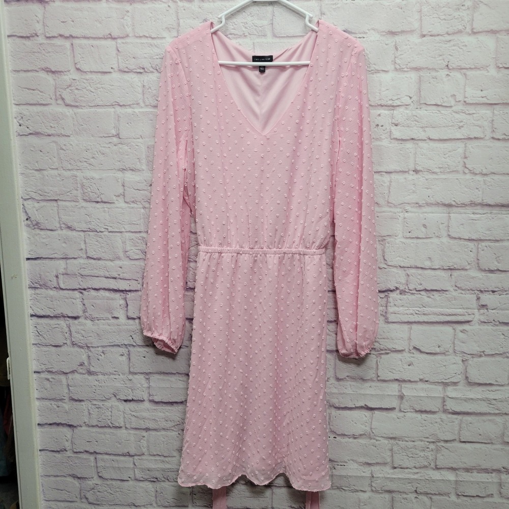 The Limited Swiss Dot Pink Long Sleeve Dress Sz XL Girlycore Coquette Partywear
